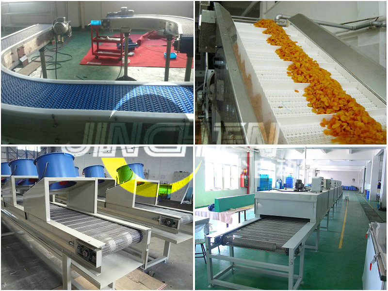 塑鋼網(wǎng)帶輸送機(jī)、金屬網(wǎng)帶輸送機(jī)、爬坡網(wǎng)帶輸送機(jī)、網(wǎng)帶輸送機(jī)