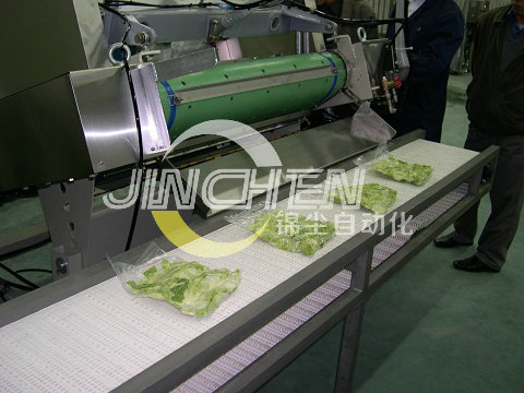 上海錦塵雙層直線網(wǎng)帶輸送機(jī)